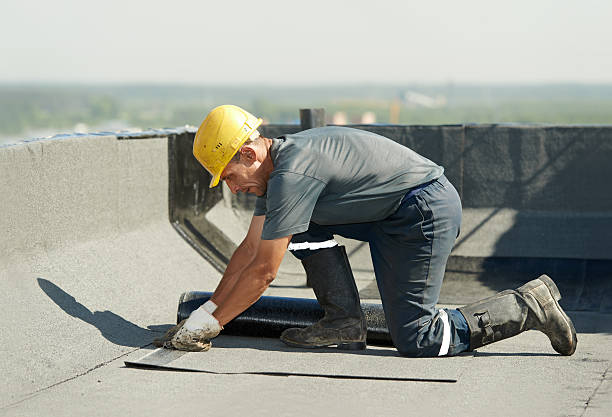 Insulation Replacement Services in Ellendale, ND